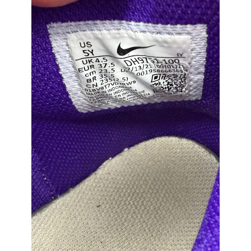 Nike Dunk High Court Purple White Kids Sneakers DH9751-100 5Y